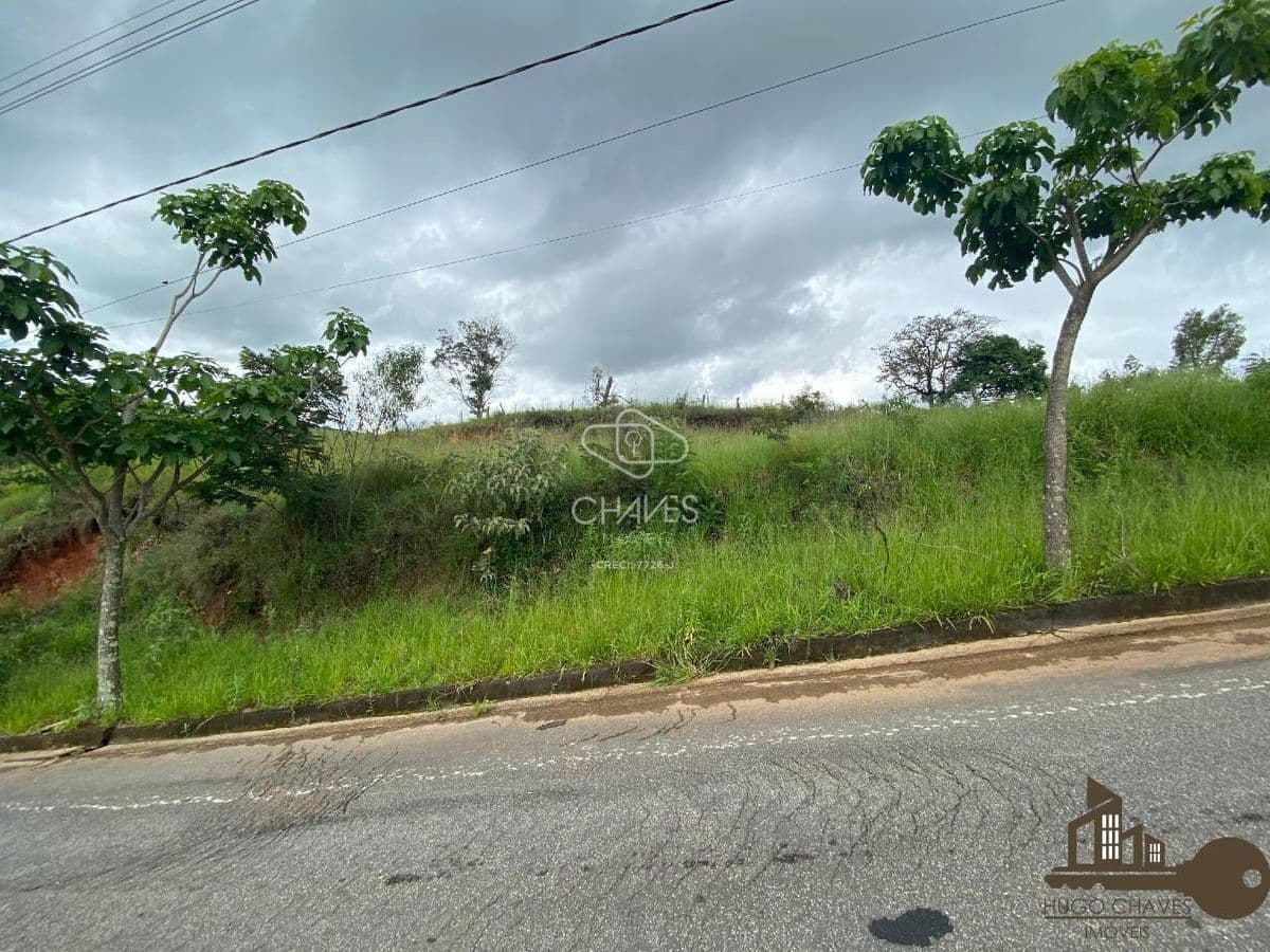 Lote/Terreno - Conselheiro Lafaiete
