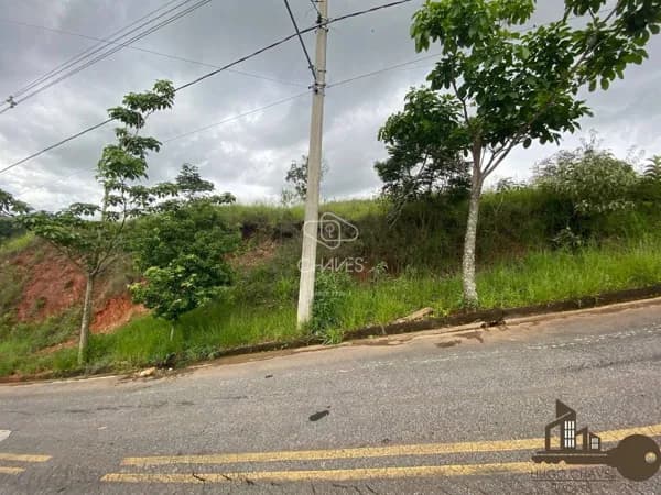 Lote/Terreno - Conselheiro Lafaiete