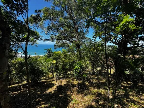 Terreno na praia do Silveira em Garopaba com 1.607m2 vista mar em condomínio privativo