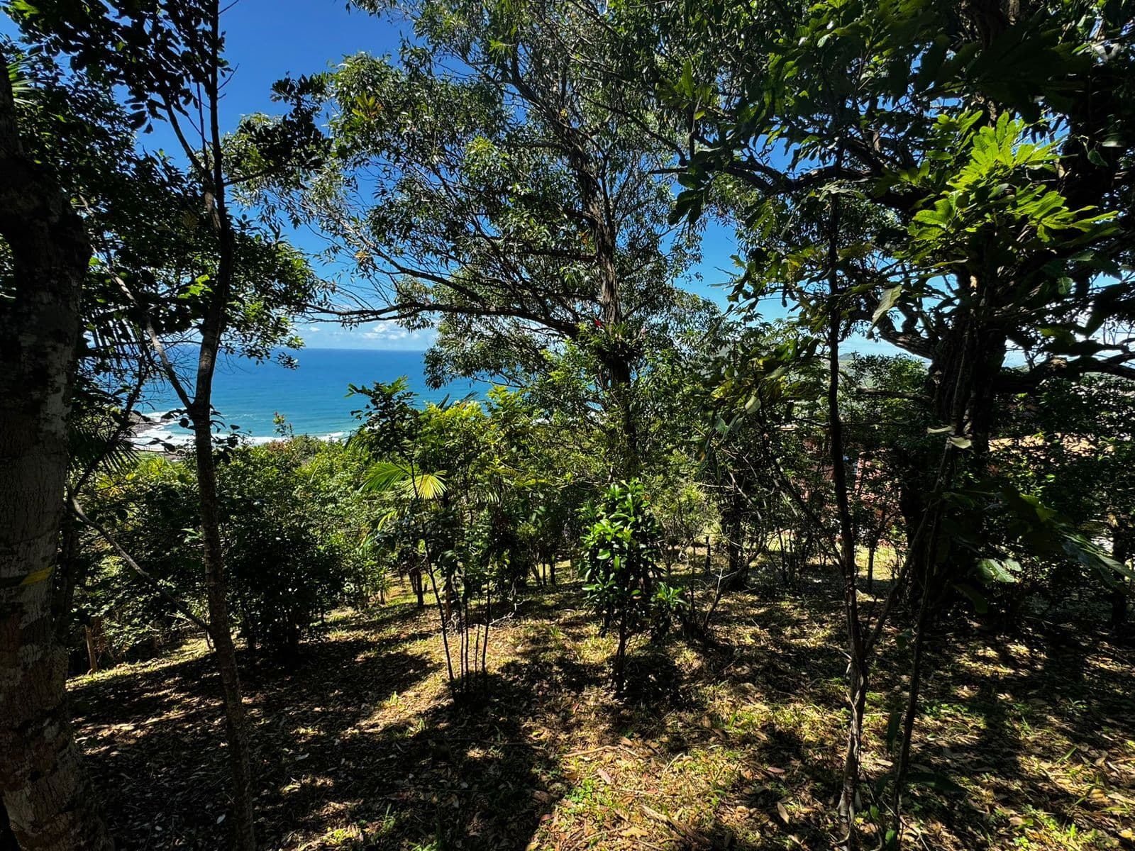 Terreno na praia do Silveira em Garopaba com 1.607m2 vista mar em condomínio privativo
