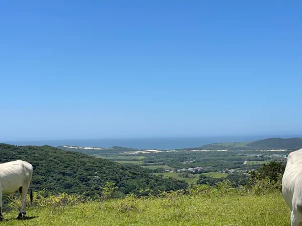 Lindíssima área com 2,1 hectares com vista de tirar o fôlego