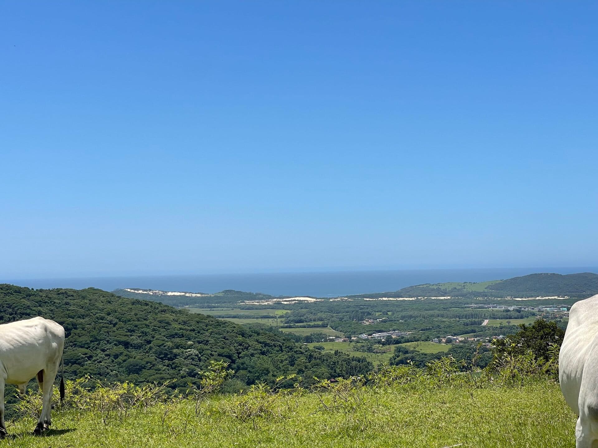 Lindíssima área com 2,1 hectares com vista de tirar o fôlego