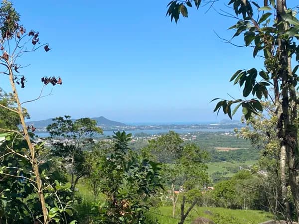 Linda área com nascente no morro da Ressacada