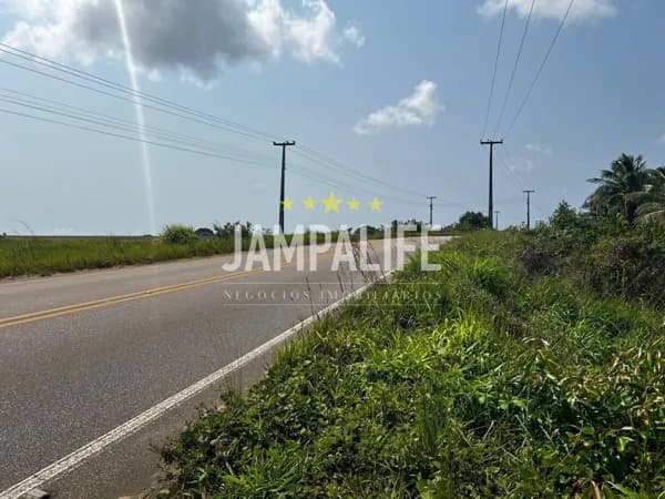 Granja com 12 Hectares Beira de Pista no Conde