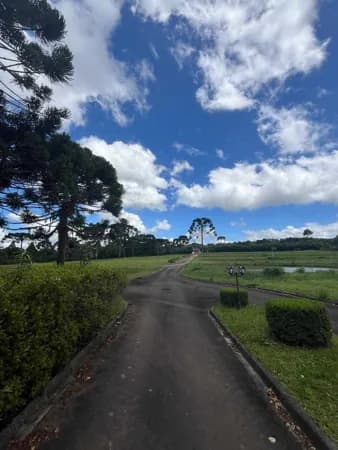 Fazenda/Sítios/Chácaras em Campina Grande do Sul - Área Rural