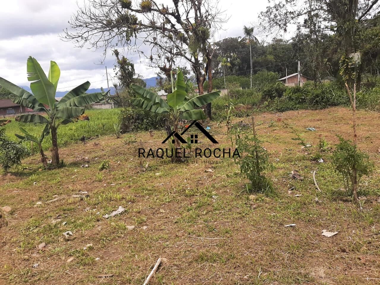 Lote/Terreno em Morretes - Vila das Palmeiras
