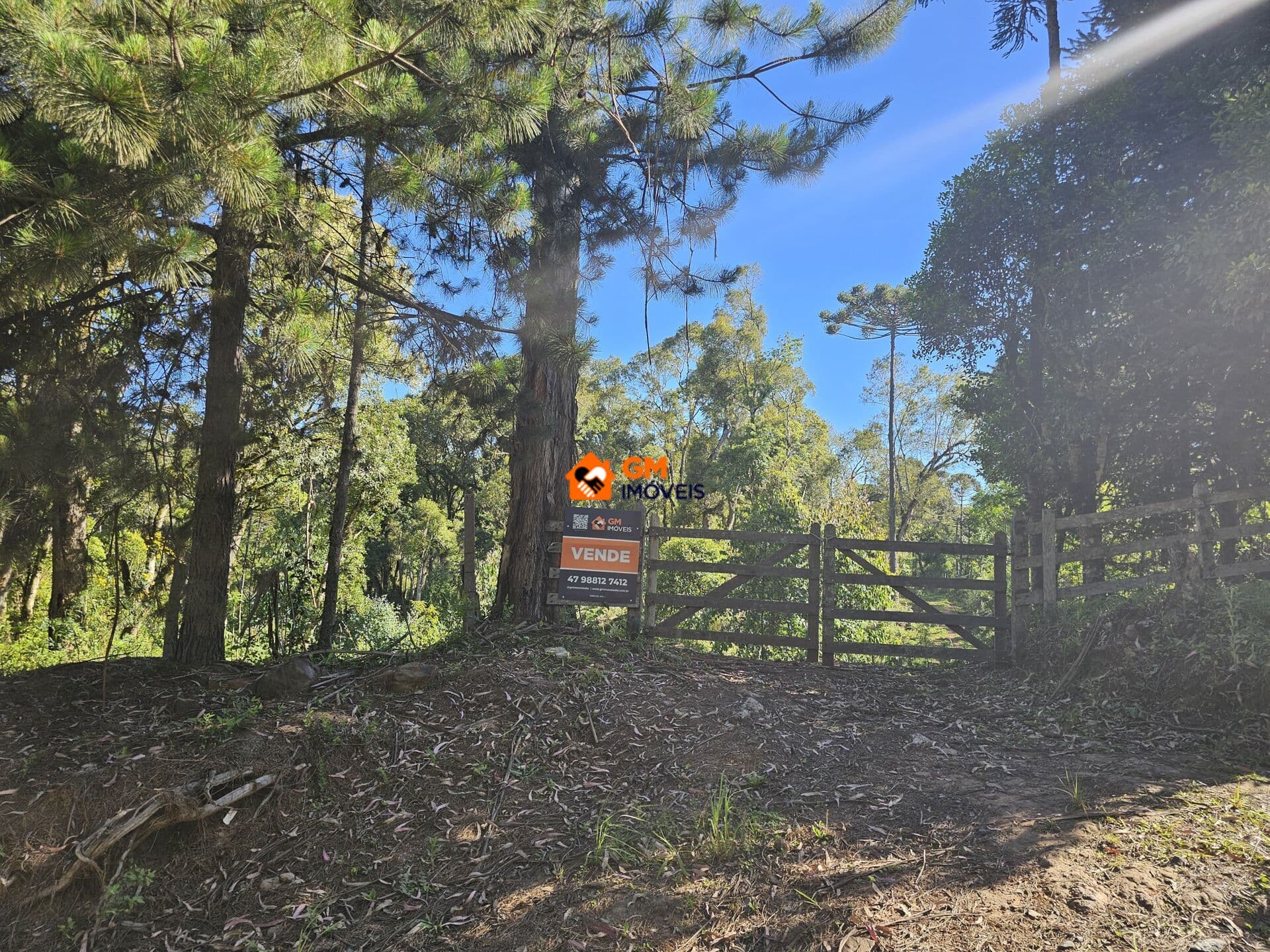 ÓTIMO Terreno na Estrada Principal da Avenquinha — Campo Alegre/SC