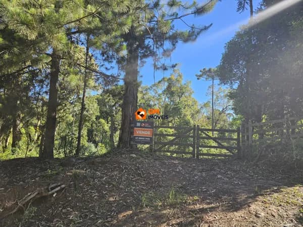 ÓTIMO Terreno na Estrada Principal da Avenquinha — Campo Alegre/SC