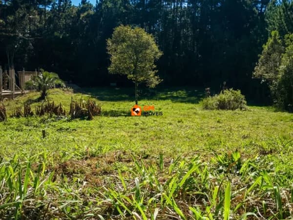 Ótimo Terreno em Rio Negrinho - SC
