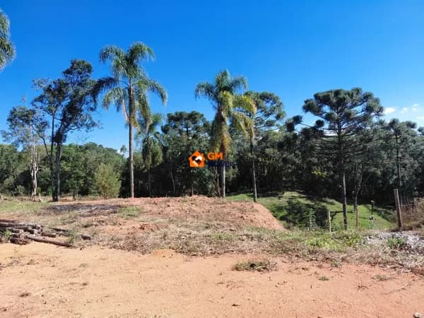 Lindo Terreno à venda no bairro Rio Vermelho - São Bento do Sul / SC