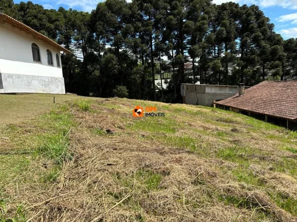 Terreno no Bairro Centenário - SBS