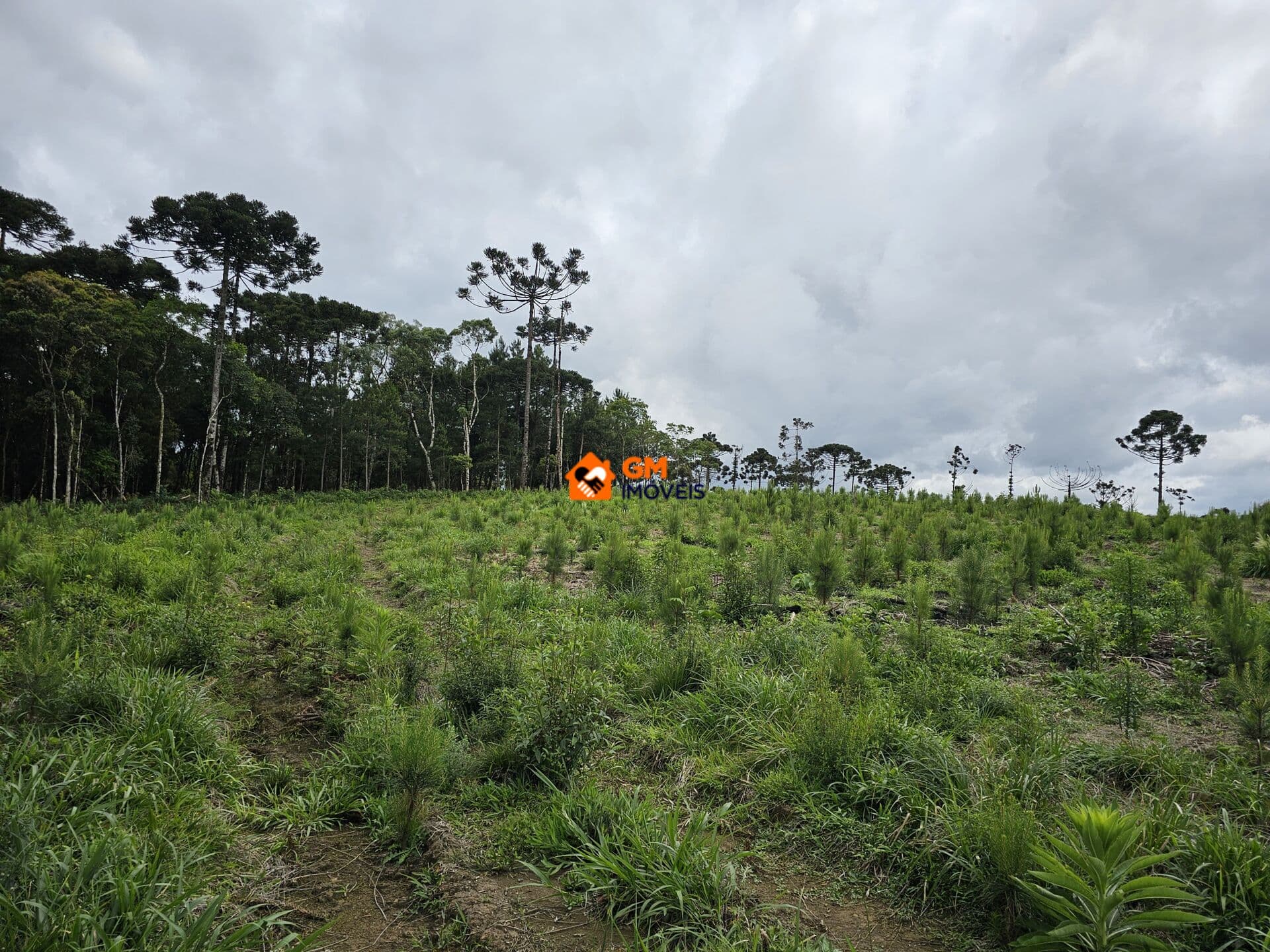 TERRENO INDUSTRIAL - LENÇOL - SBS