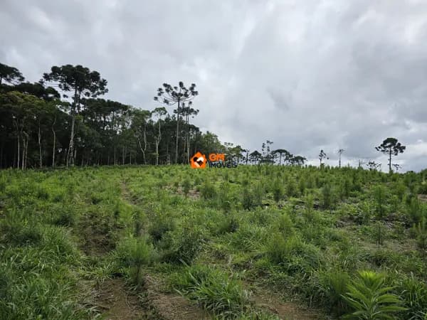 TERRENO INDUSTRIAL - LENÇOL - SBS