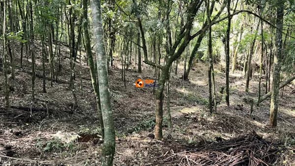 Ótimo Terreno à Venda no Bairro Brasília – São Bento do Sul/SC