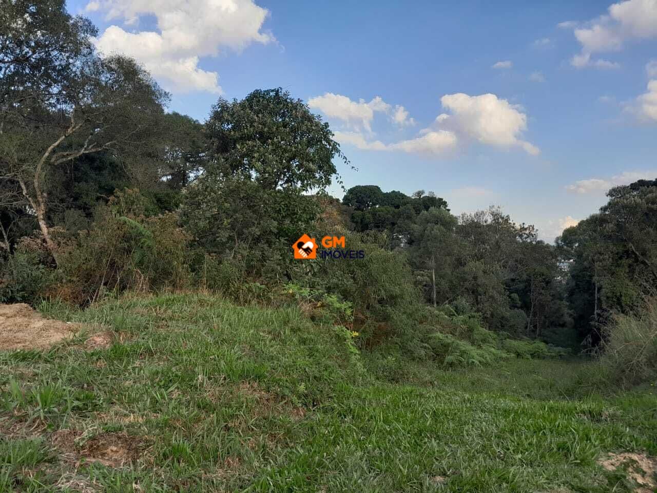 TERRENO COMERCIAL/INDUSTRIAL em Rio Negrinho