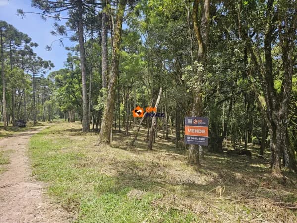 Lindo Terreno em Avenquinha — Campo Alegre/SC