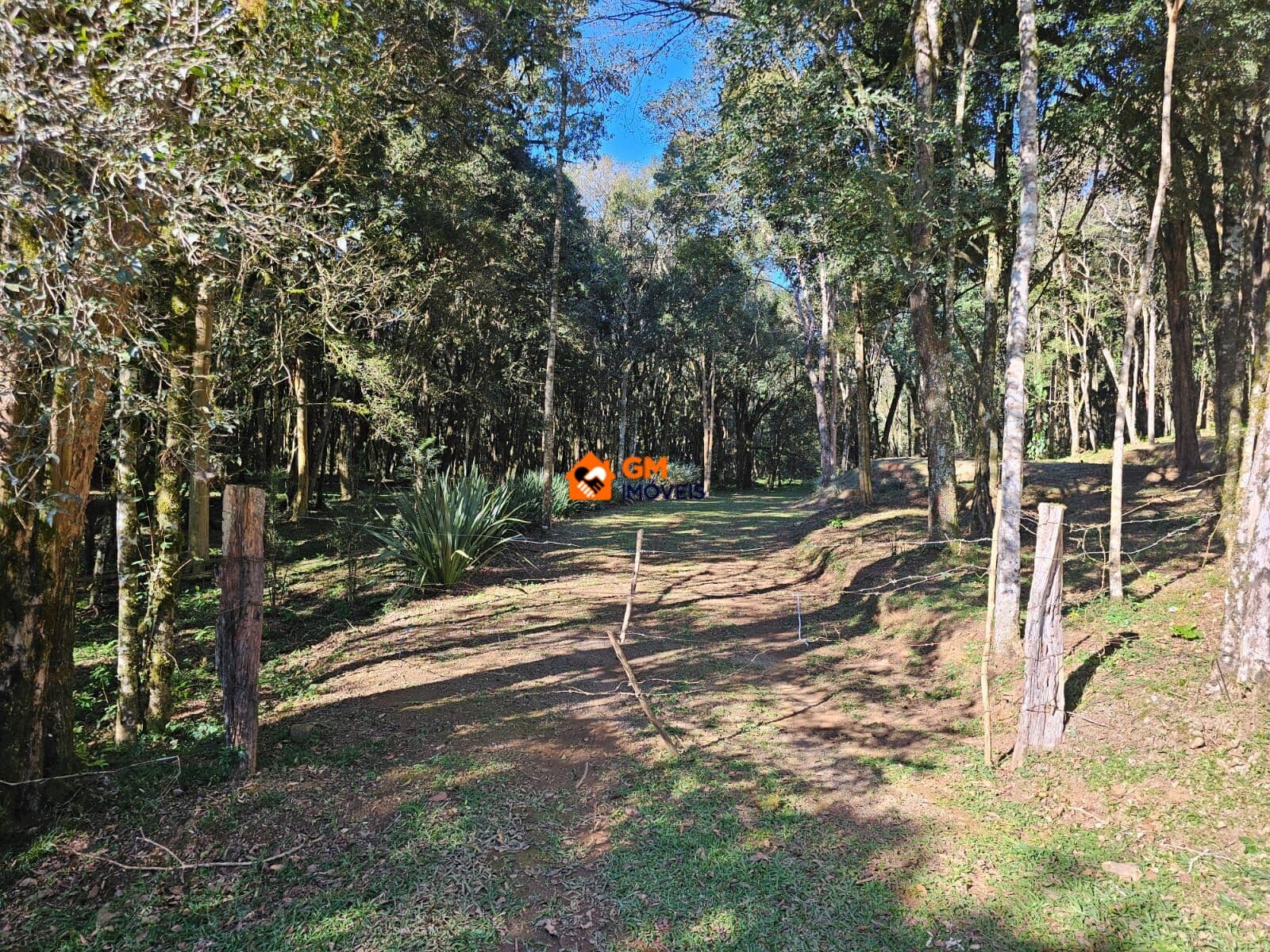 TERRENO RURAL EM FRAGOSOS - CAMPO ALEGRE