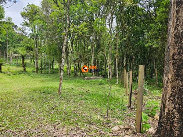 Terreno na Localidade de São Miguel - Campo Alegre