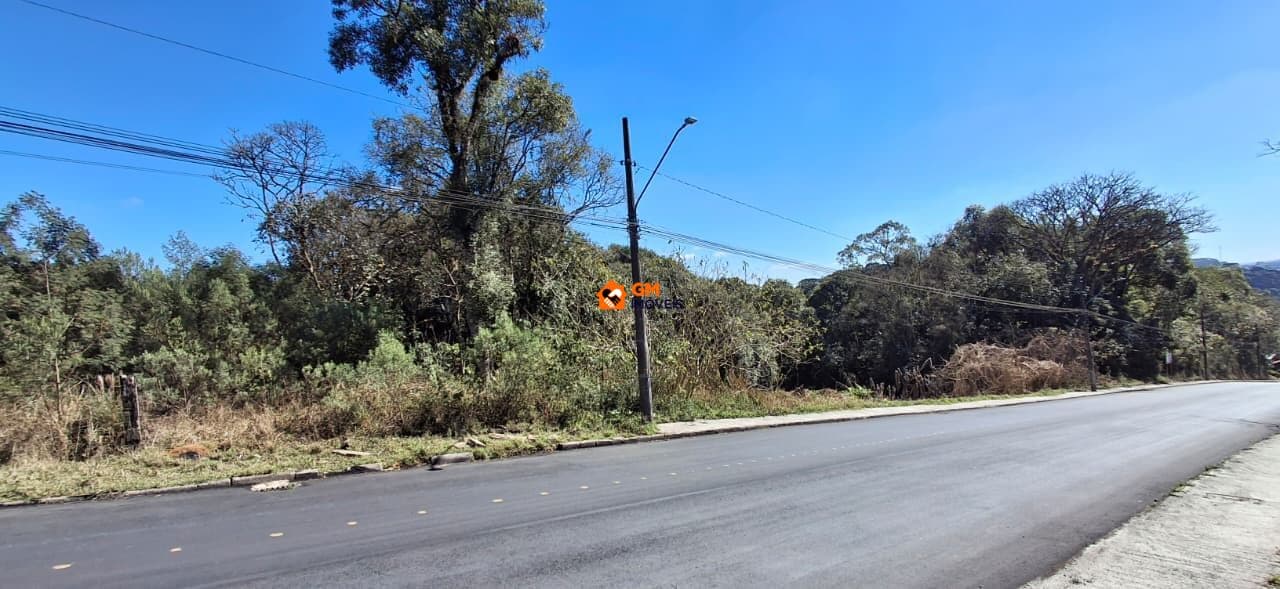 Amplo Terreno à Venda no Bairro 25 de Julho – São Bento do Sul/SC