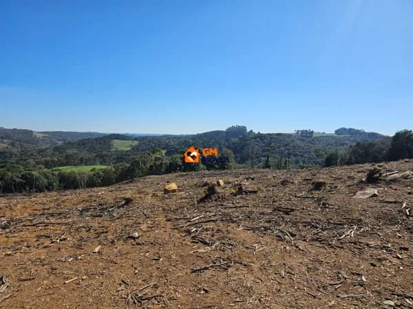TERRENO RURAL - COM PINUS - FRAGOSOS