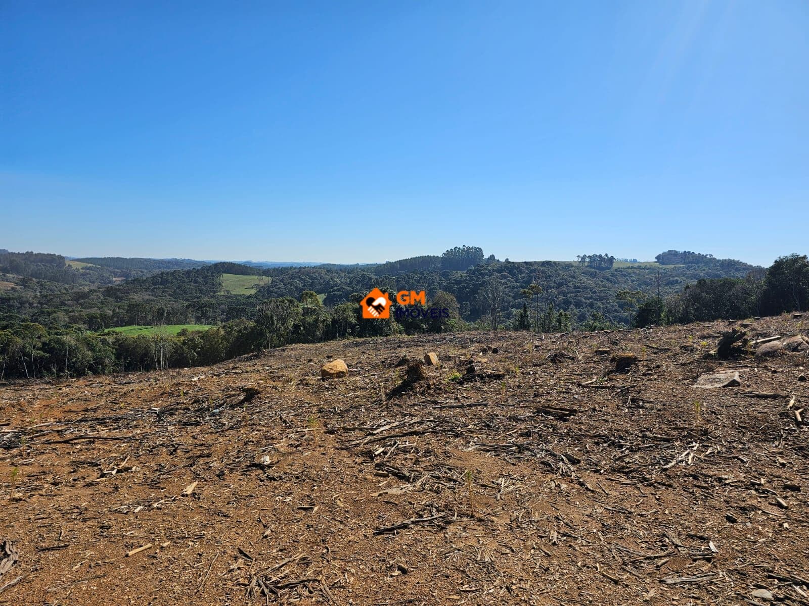 TERRENO RURAL - COM PINUS - FRAGOSOS