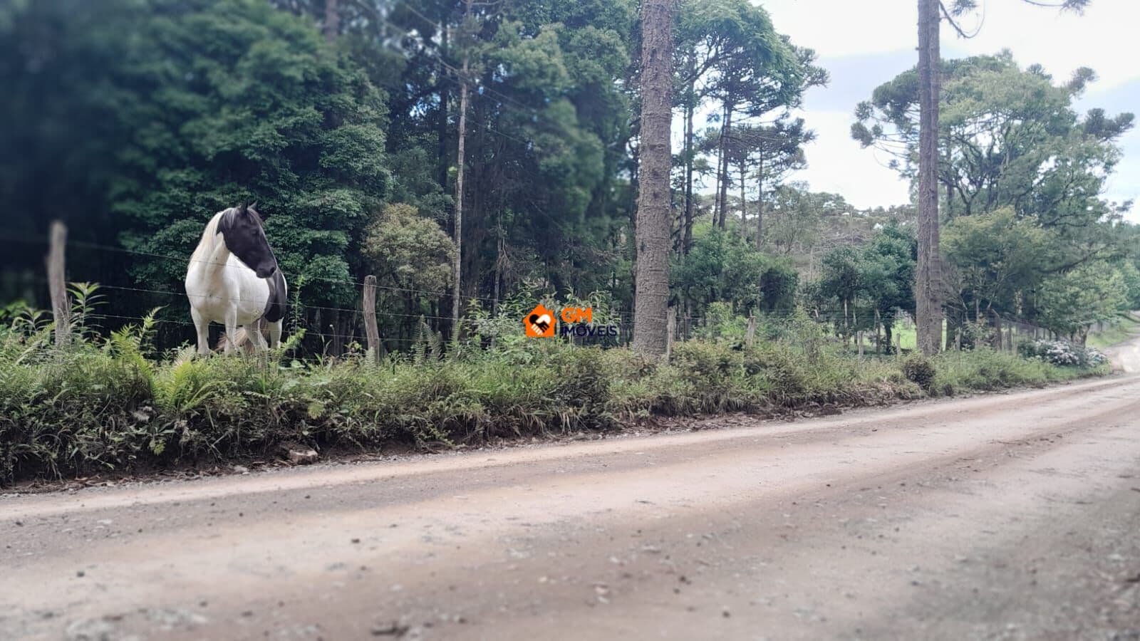 Terreno no Salto do Engenho - Campo Alegre