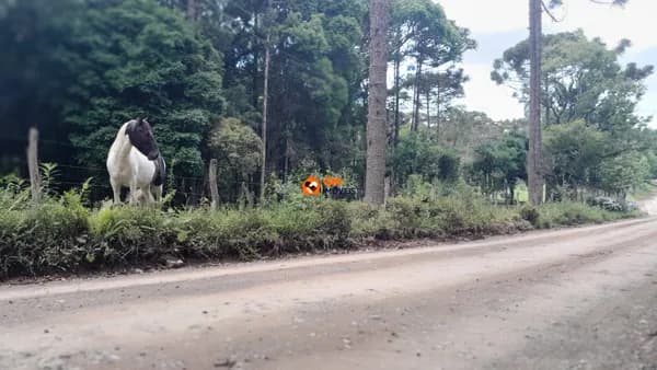 Terreno no Salto do Engenho - Campo Alegre