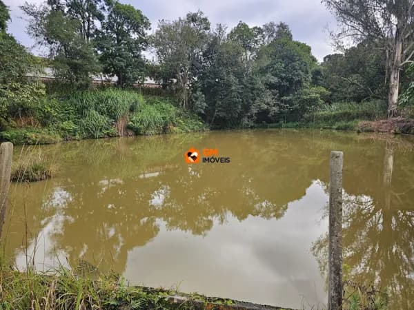 Excelente Terreno em Fragosos - Campo Alegre / SC