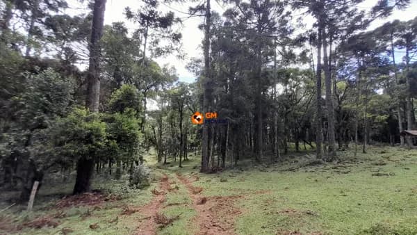 Terreno no Salto do Engenho - Campo Alegre