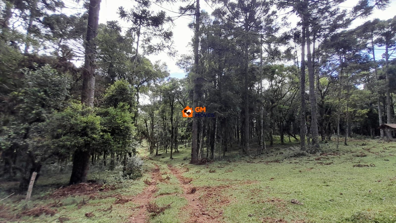 Terreno no Salto do Engenho - Campo Alegre