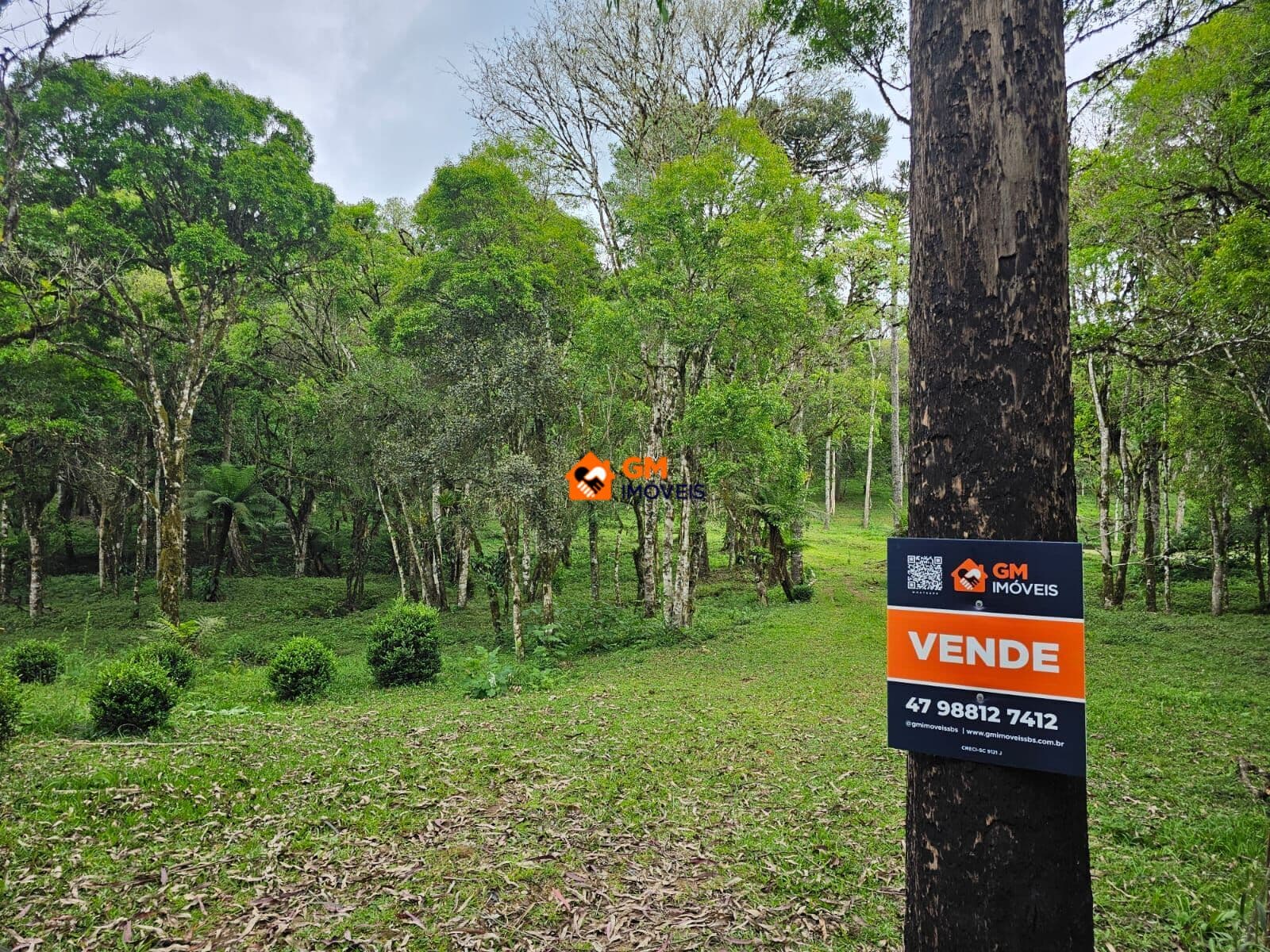 LINDO TERRENO RURAL EM CAMPO ALEGRE - SC