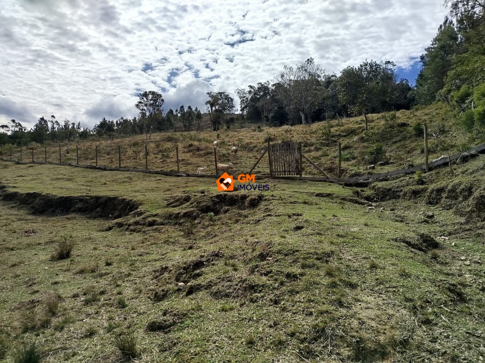 CHÁCARA NA ESTRADA DAS LARANJEIRAS - CAMPO ALEGRE