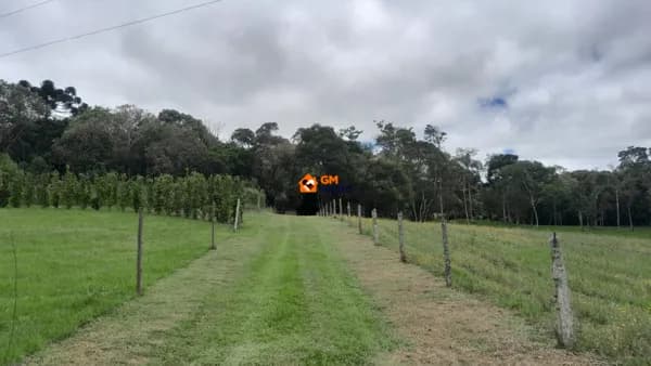 ÓTIMO TERRENO EM CAMPO ALEGRE - B. CASCATAS