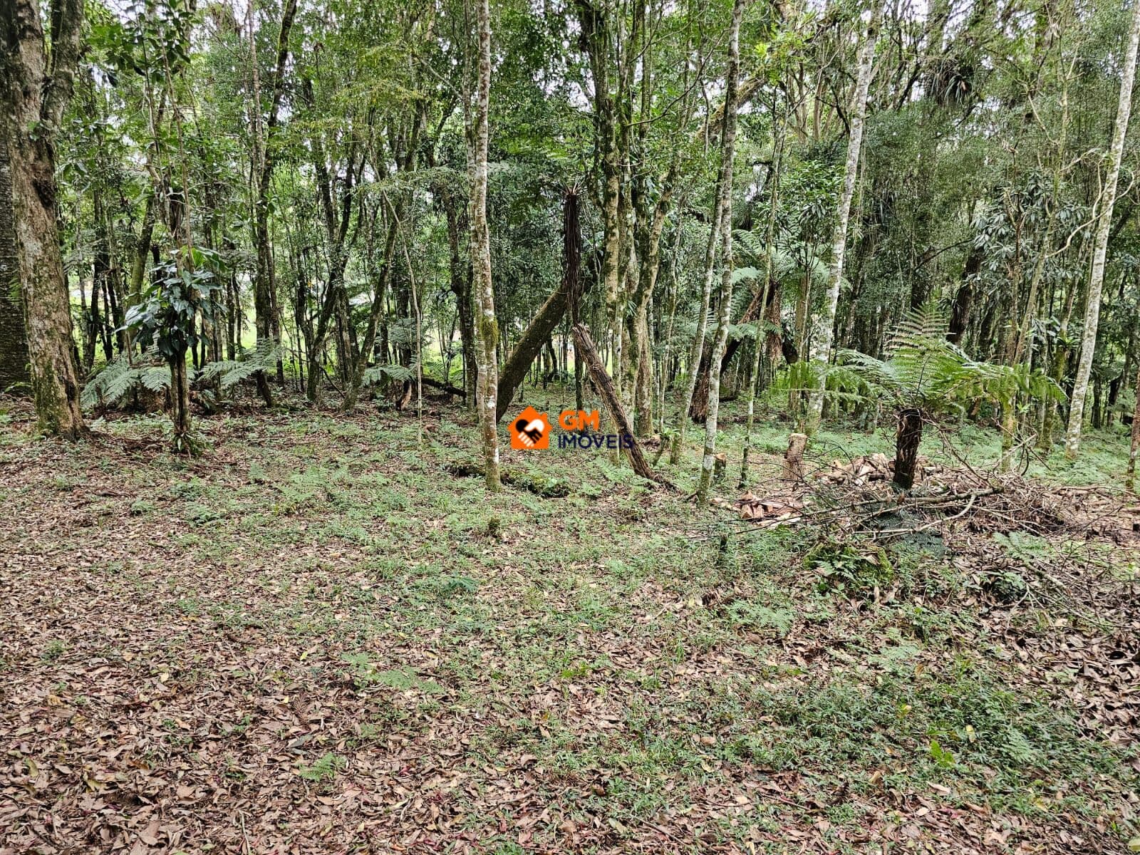 EXCELENTE TERRENO URBANO EM CAMPO ALEGRE