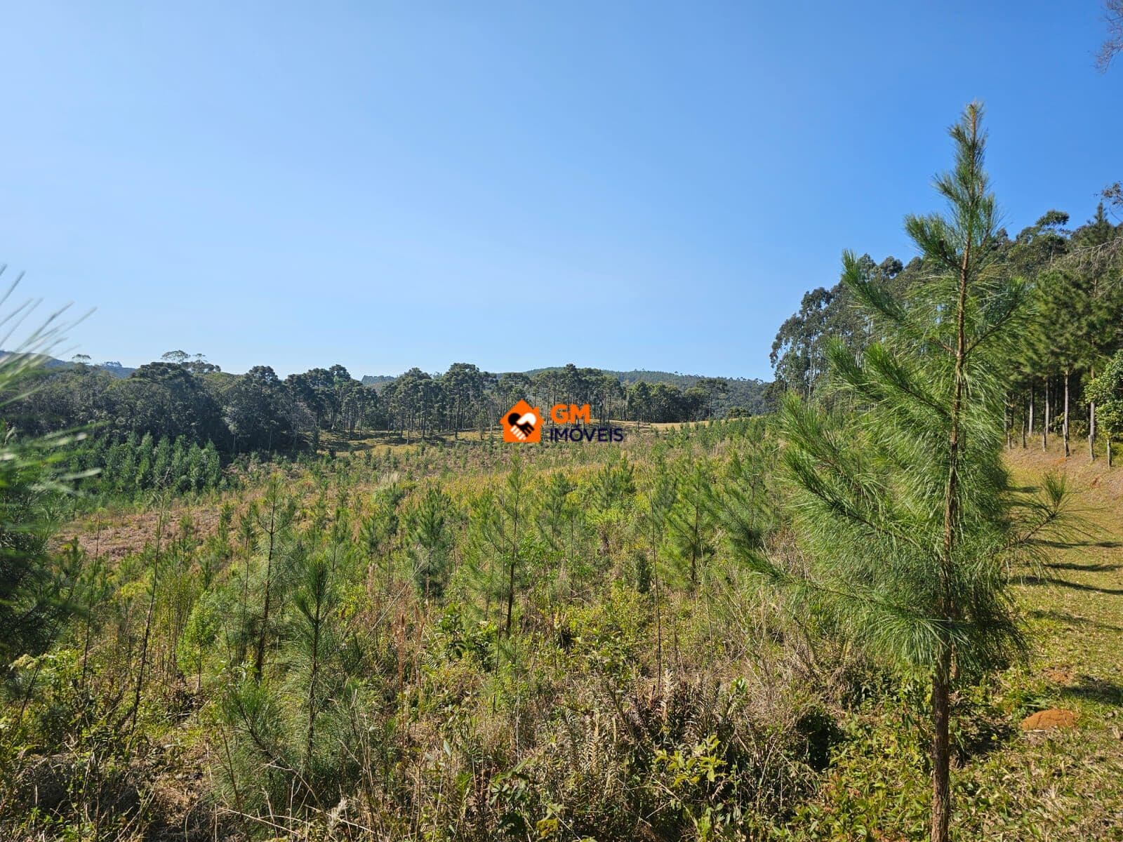 TERRENO RURAL - RIO VERMELHO POVOADO - SBS