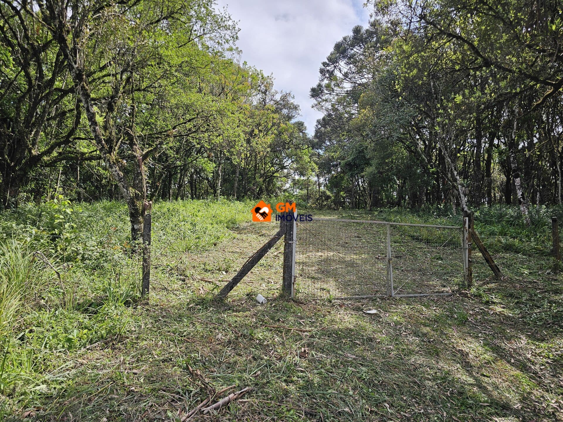 LINDO TERRENO NA BR 280 - LENÇOL - SBS