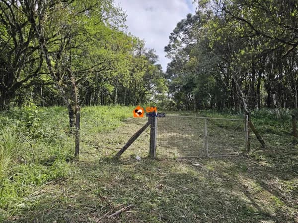 LINDO TERRENO NA BR 280 - LENÇOL - SBS