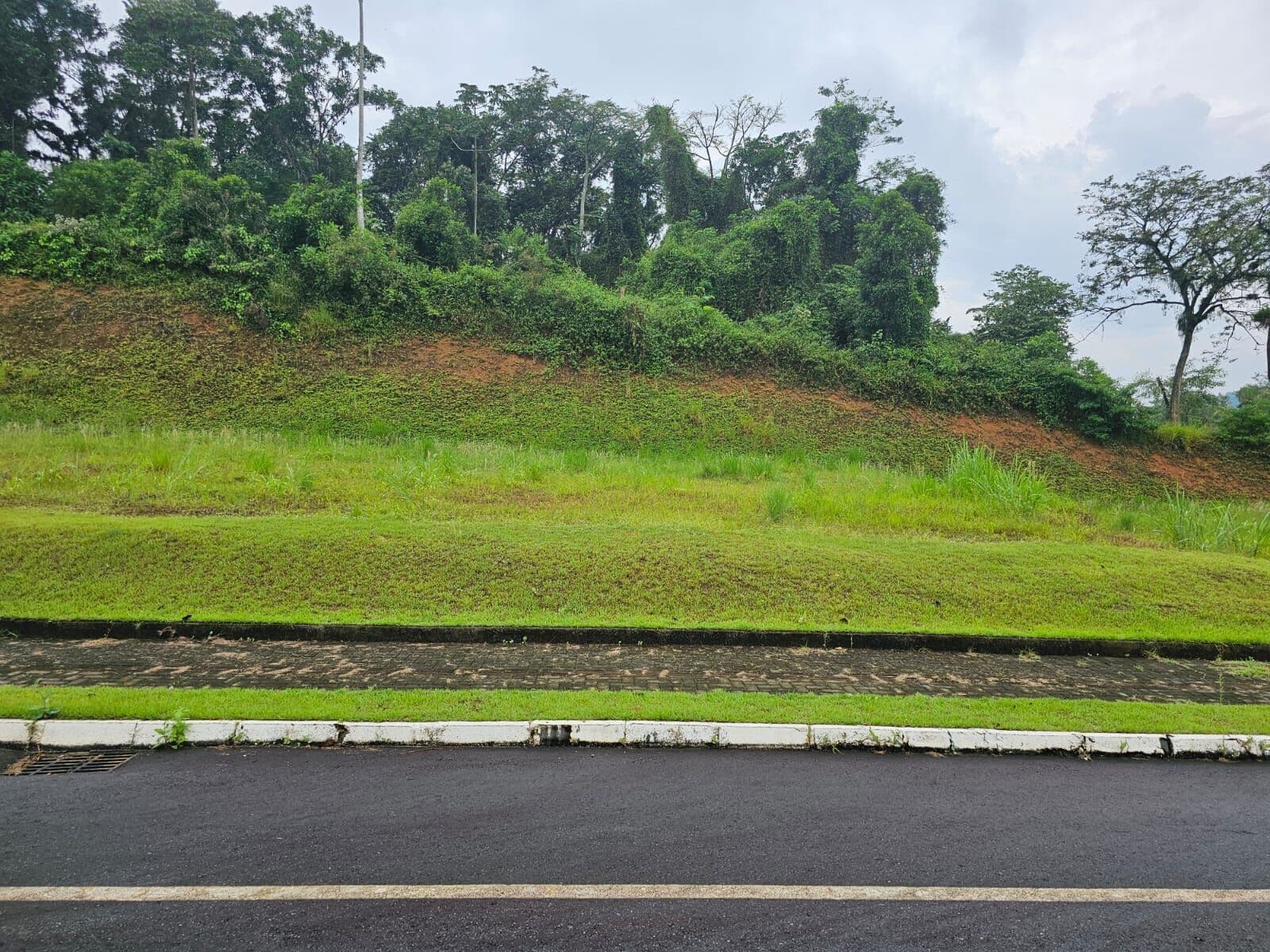 Terreno à Venda no Bairro Rau