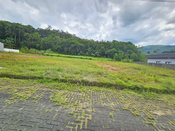Terreno (40 - da Barra)