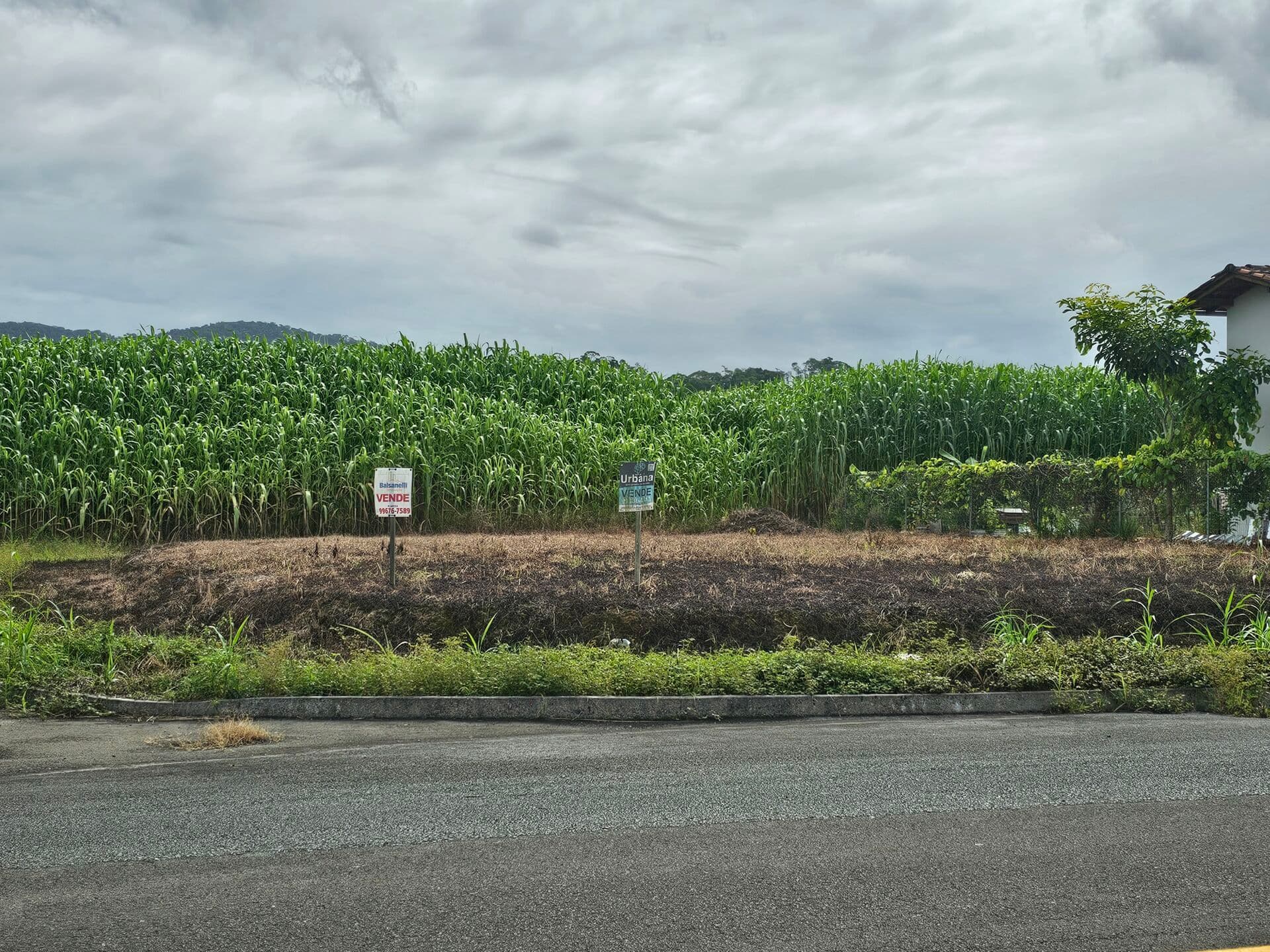 Terreno (267 - Vila Germânica)