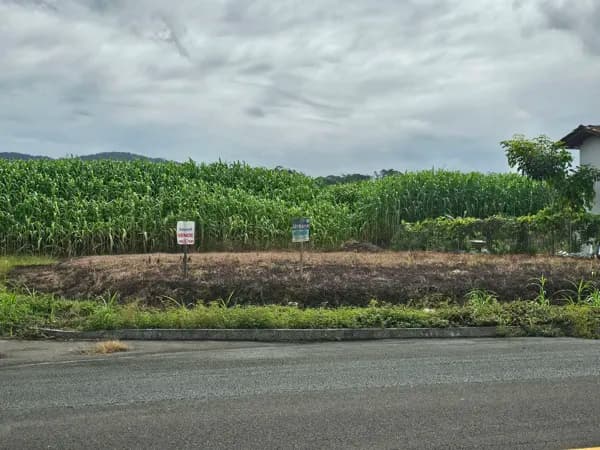 Terreno (267 - Vila Germânica)