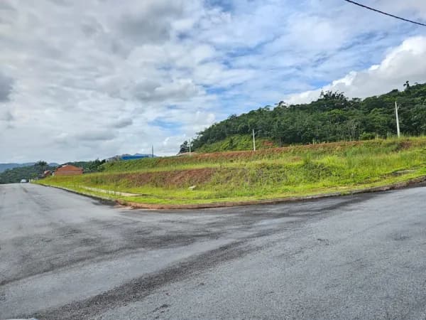 Terreno (242 - Paineiras)