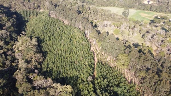 Chácara à venda, com área de 21.535,00m² por R$ 550.000,00 - Guabiroba - Campo Largo-PR