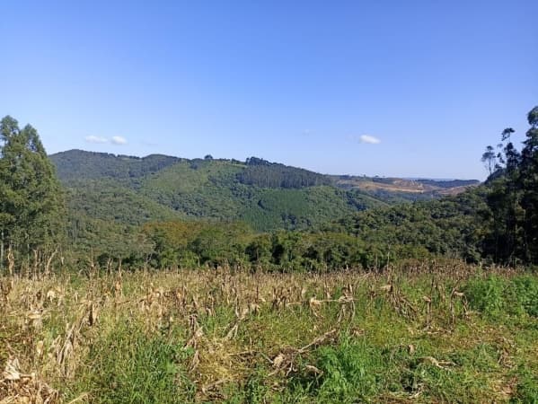 Linda área para formar chácara, com área de 52.500,00m² - Jardim Boa Vista - Campo Largo/PR