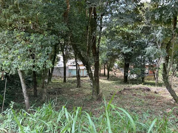 Terreno à venda no São Caetano, Balsa Nova-PR