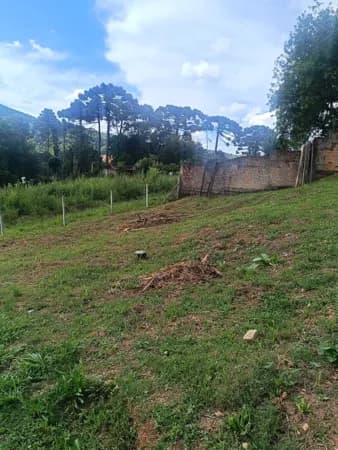 Terreno - São Caetano