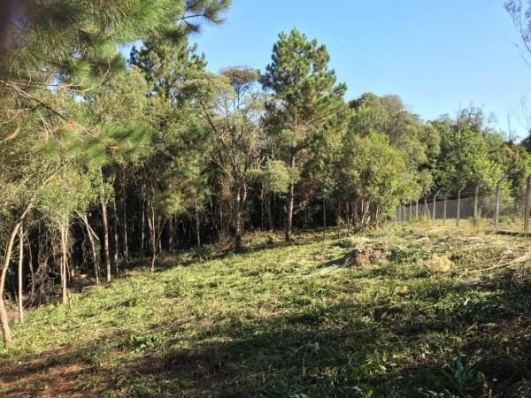 Chácara 16032 m² - Rondinha - Campo Largo/PR