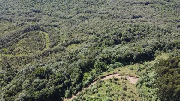 Chácara à venda com área de 23.373,00m² - Rodeio Santo Antonio - Balsa Nova-PR