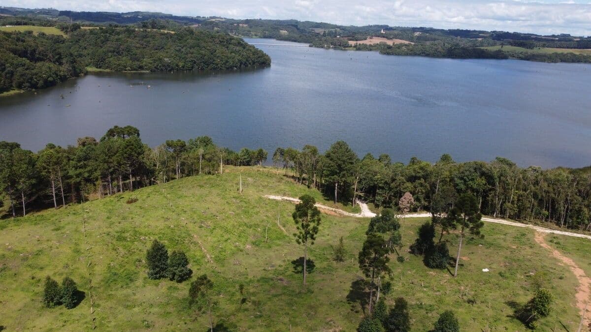 Chácara em Sitio Santa Ana, Campo Largo/PR