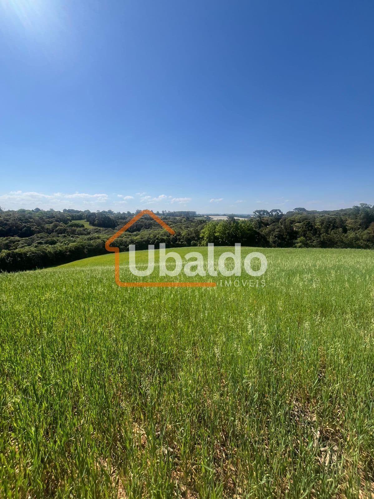 Fazenda/Sítios/Chácaras em Araucária - Área Rural de Araucária